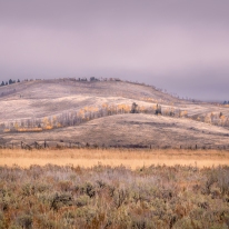 Rolling Hillside near Antelope Flats — Grand Teton NP © jj raia