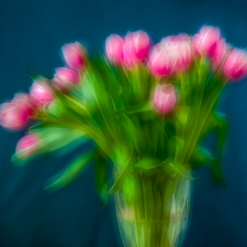 Tulips and Vase © jj raia