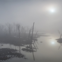 Winter Fog at White Oak Marsh — Jordan Lake, NC © jj raia