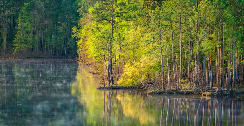 Spring Morning — Jordan Lake, NC © jj raia