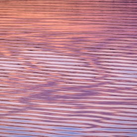 Ripple Pattern No.3 — Jordan Lake, NC © jj raia