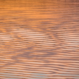 Ripple Pattern No.1 — Jordan Lake, NC © jj raia